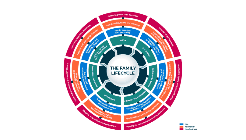 Famil Lifecycle Gif 660 Text