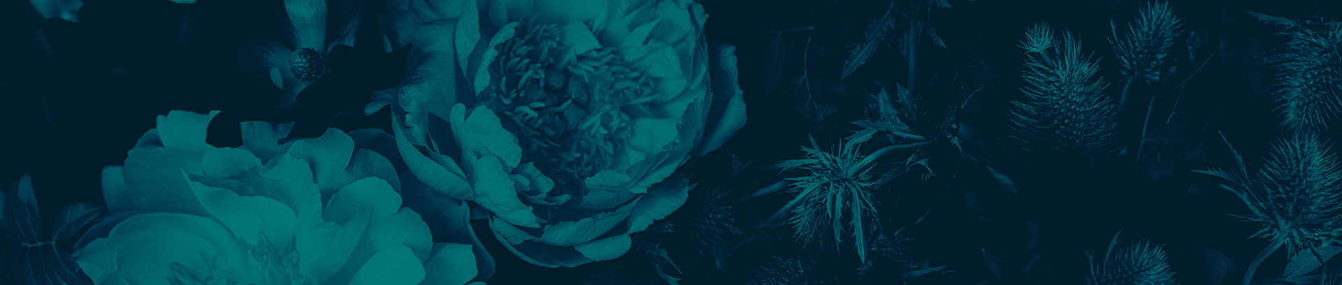 Family Office Banner Green