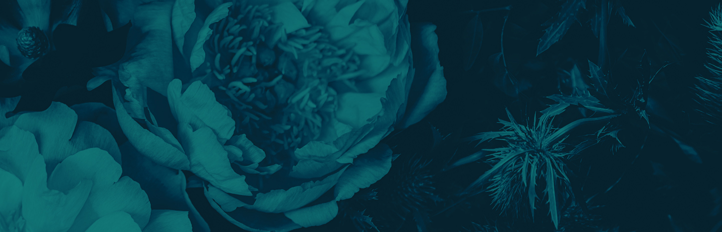 Floral image with a green gradient overlay. Family Office services managing wealth and investments for high-net-worth families in the UK.