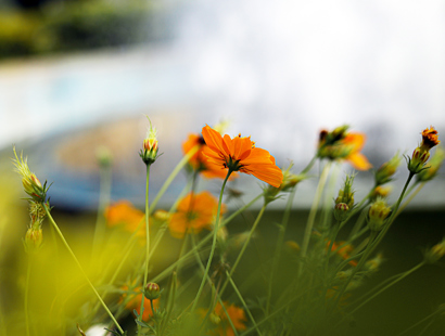 Legacy and will disputes for charities