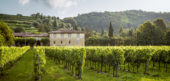 French estate planning and wills