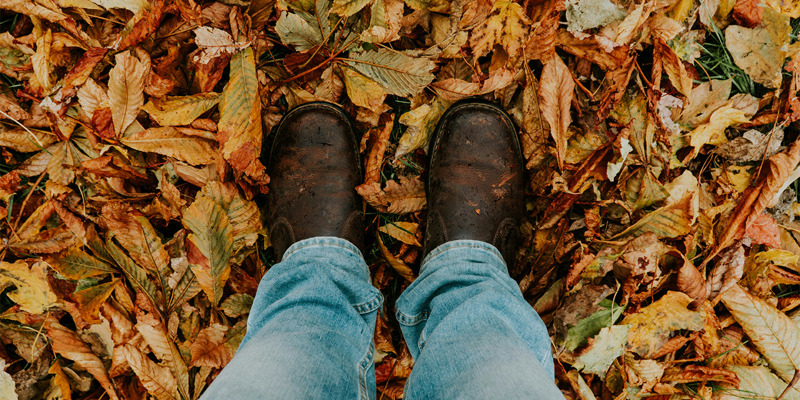 Russell-Cooke private client news Oct 2024