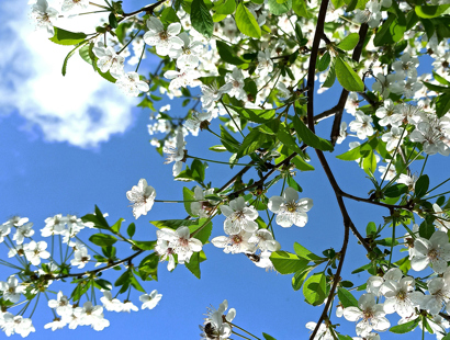 Private client team news - April, Russell-Cooke news 2024