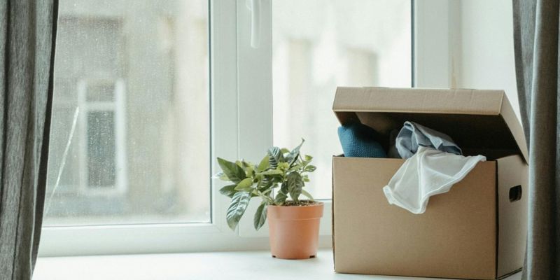 A windowsill with a potted plant and an open cardboard box containing folded fabric, set against a blurred glass window.