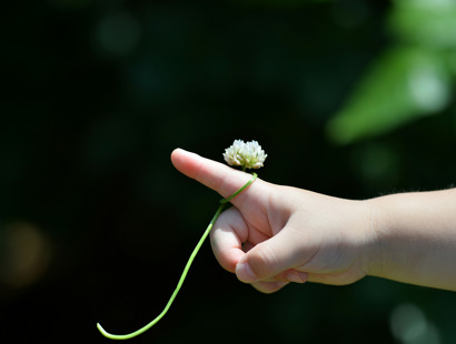 A child's hand with a daisy looped around their index finger. Natasha Kirk and Mae Al-Omari secure child's return to Ukraine