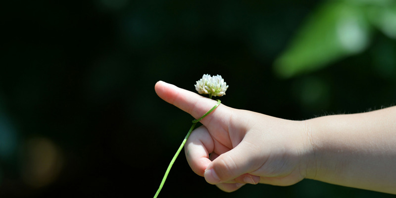 A child's hand with a daisy looped around their index finger. Natasha Kirk and Mae Al-Omari secure child's return to Ukraine