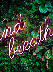 Russell Cooke Solicitors Wellbeing