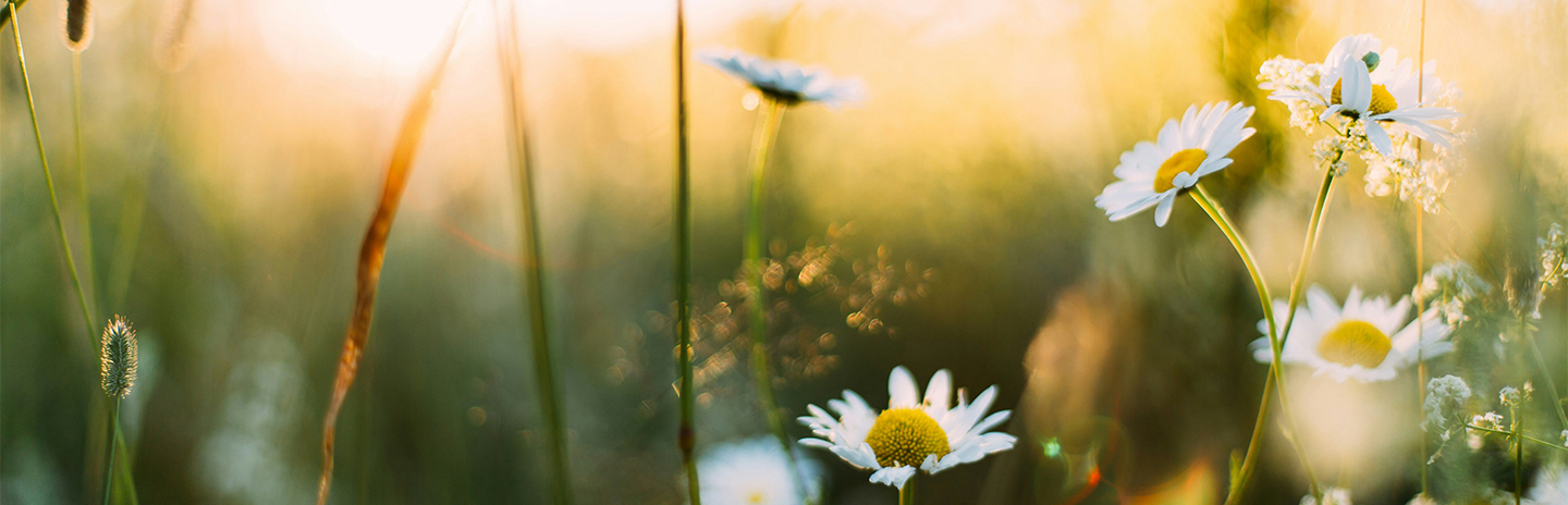 Charity seminar-spring into 2024